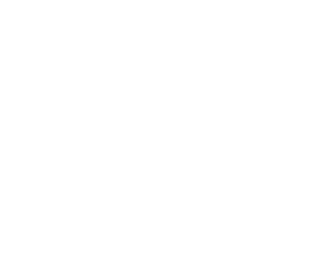 Everest Ventures Group